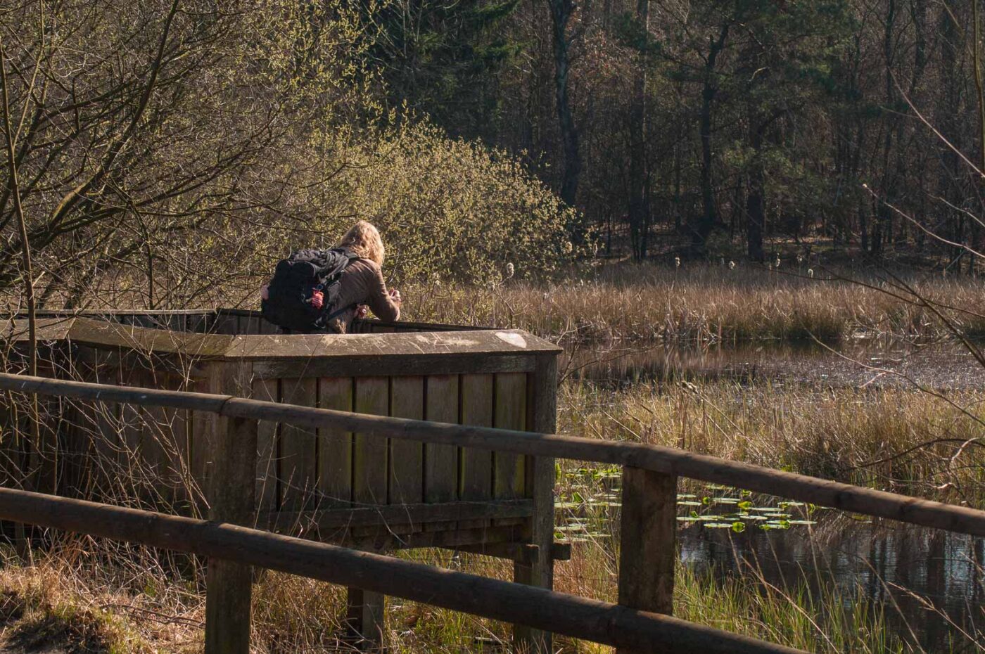 2017-03-28 - NSG Brinksknapp Recklinghausen