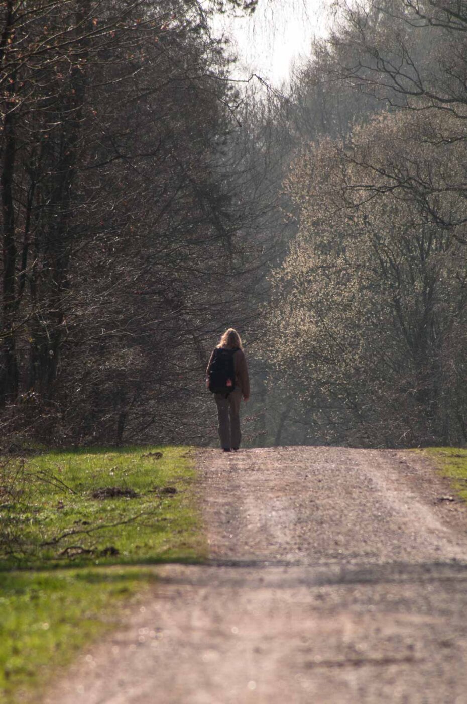 2017-03-28 - NSG Brinksknapp Recklinghausen