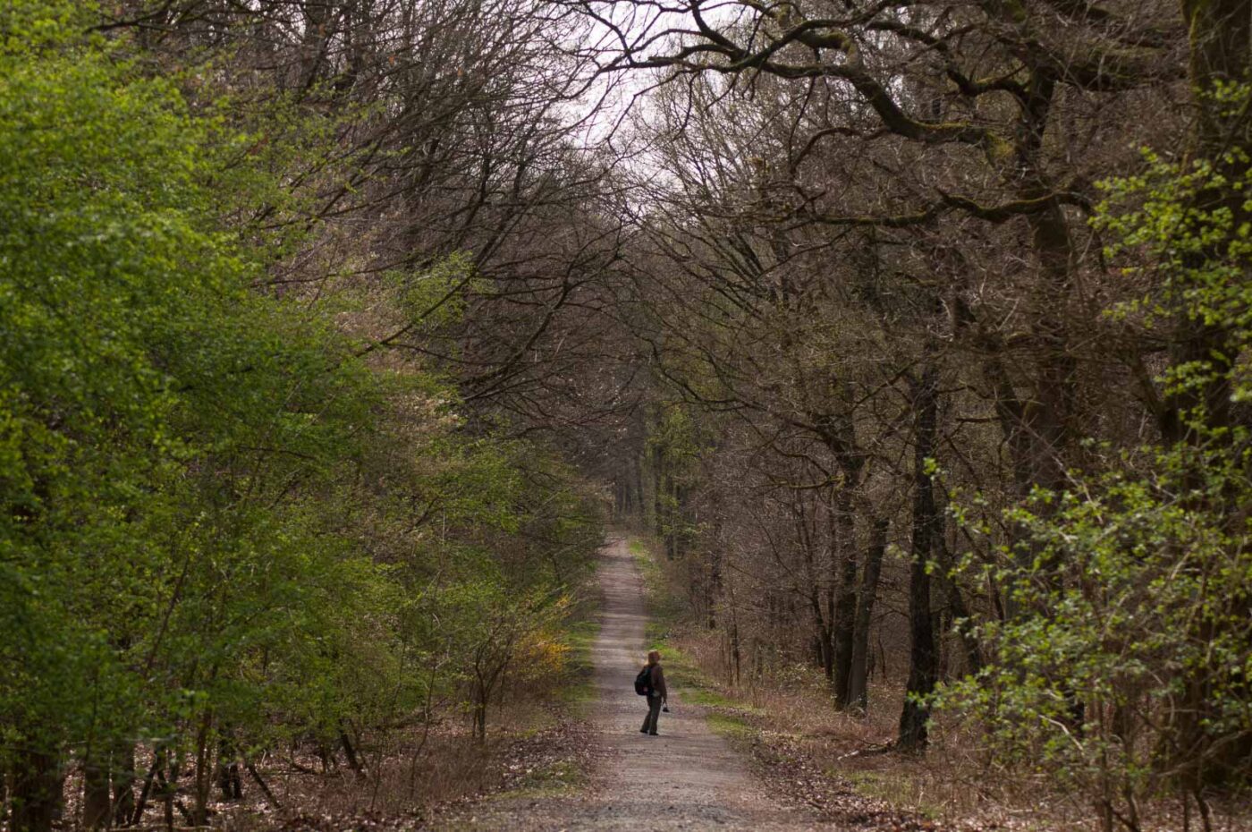 2017-03-31 - NSG Brinksknapp Recklinghausen