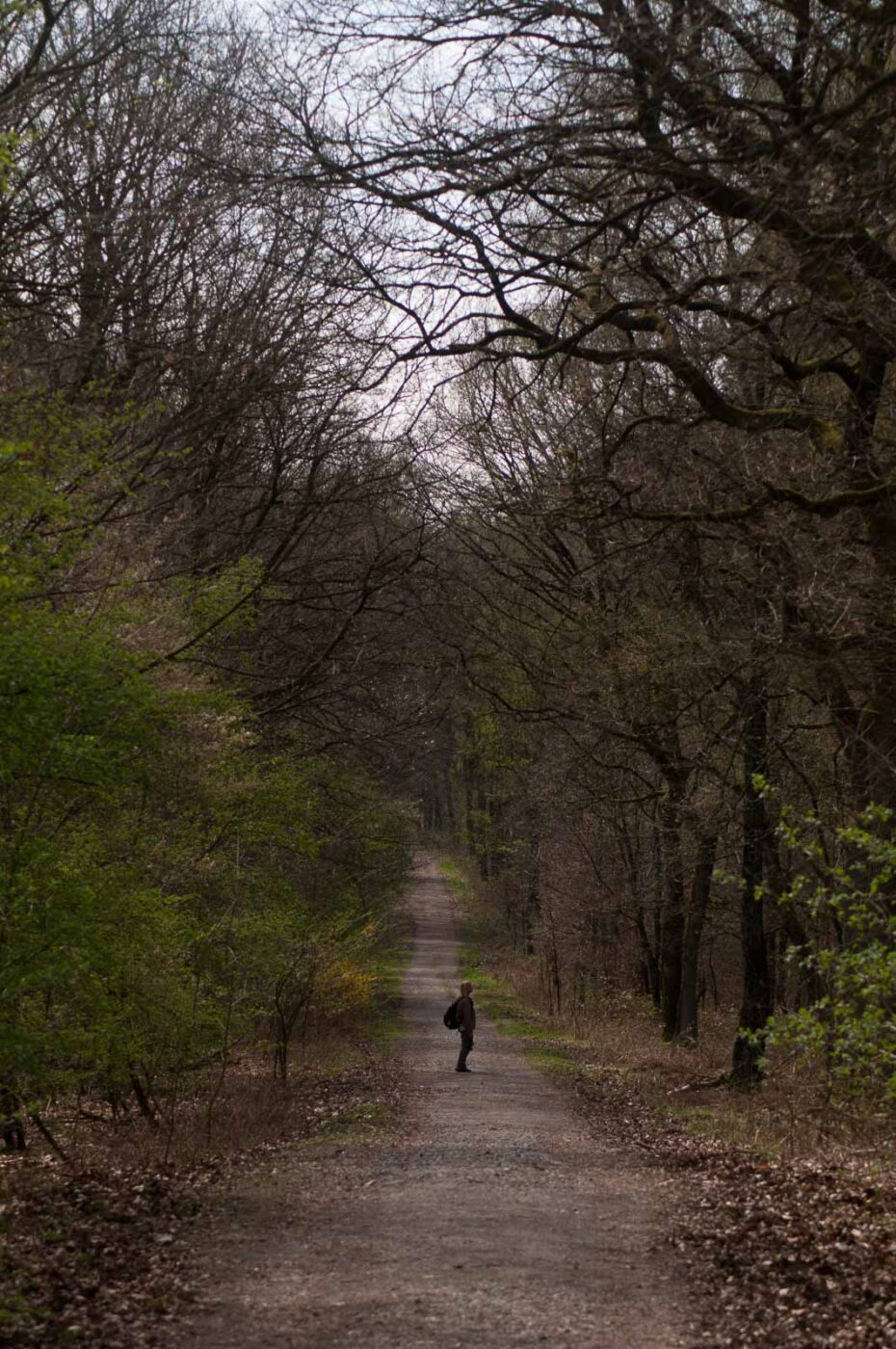 2017-03-31 - NSG Brinksknapp Recklinghausen