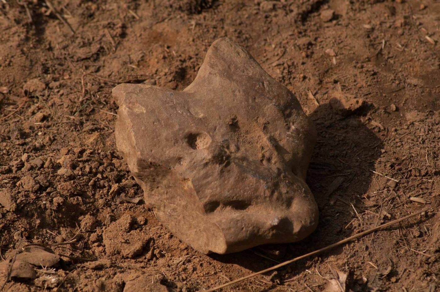 2017-03-31 - NSG Brinksknapp Recklinghausen