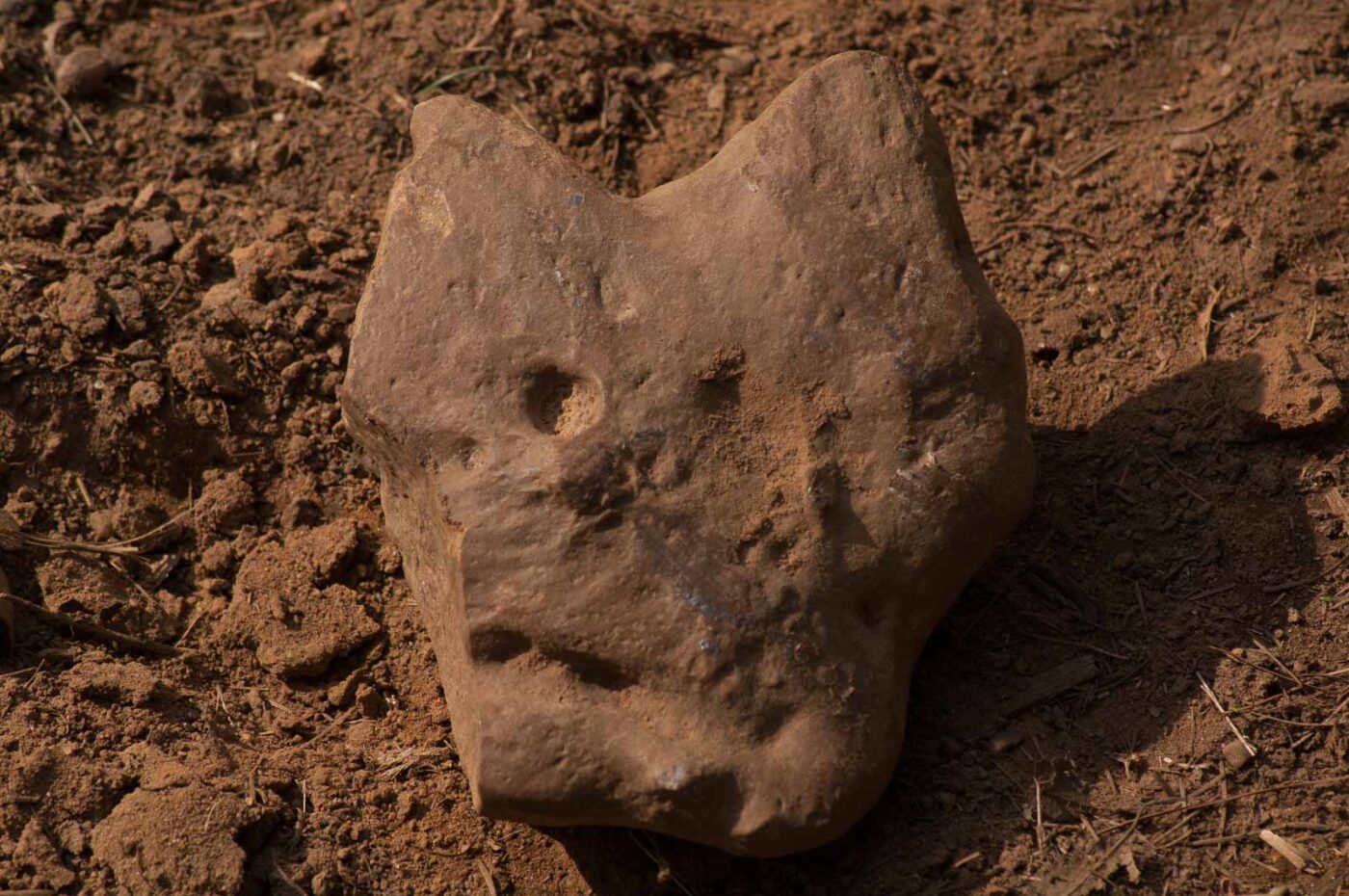 2017-03-31 - NSG Brinksknapp Recklinghausen