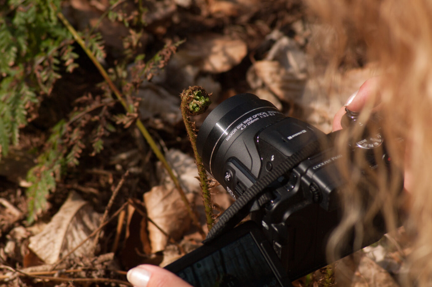 2017-03-31 - NSG Brinksknapp Recklinghausen