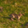 2017-04-08 - EmscherValleyWay Recklinghausen