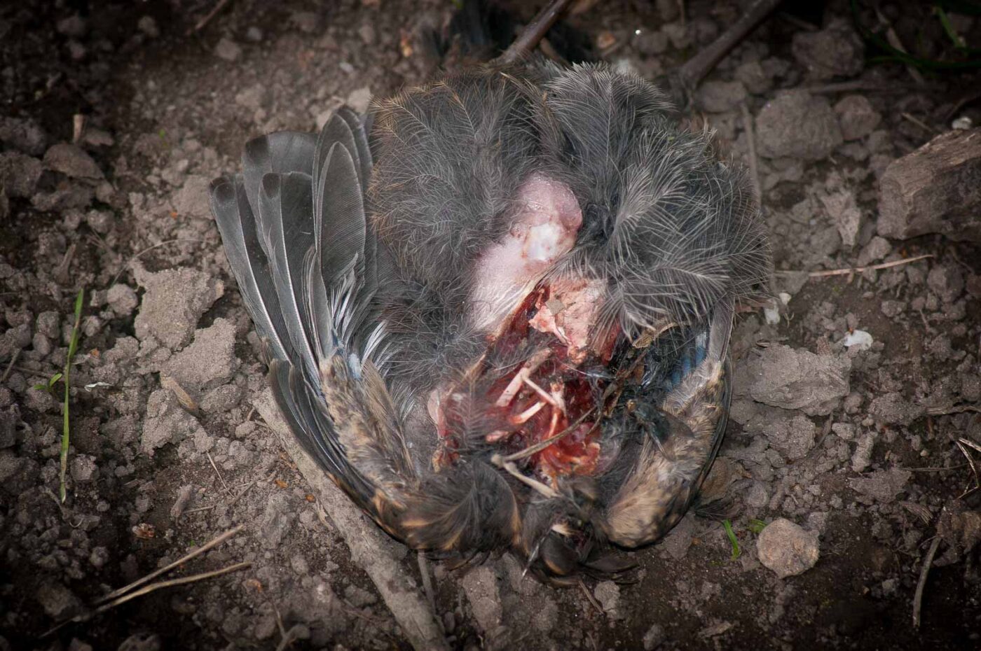 2017-04-08 - EmscherValleyWay Recklinghausen