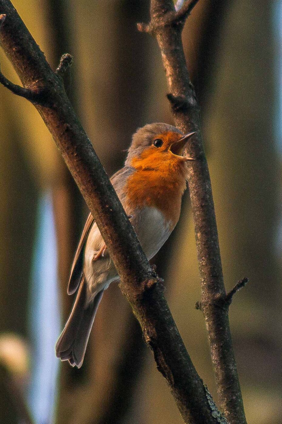 2017-04-08 - EmscherValleyWay Recklinghausen