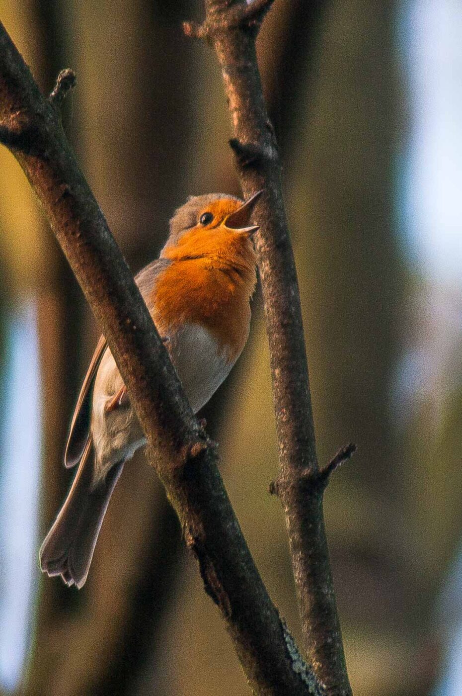 2017-04-08 - EmscherValleyWay Recklinghausen