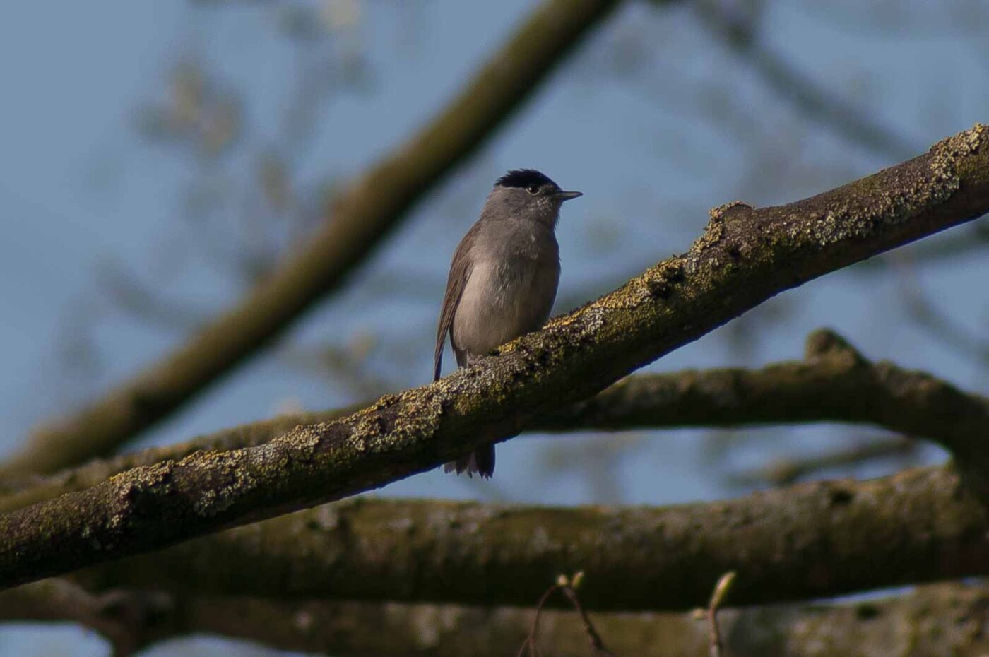 2017-04-09 - EmscherValleyWay Recklinghausen