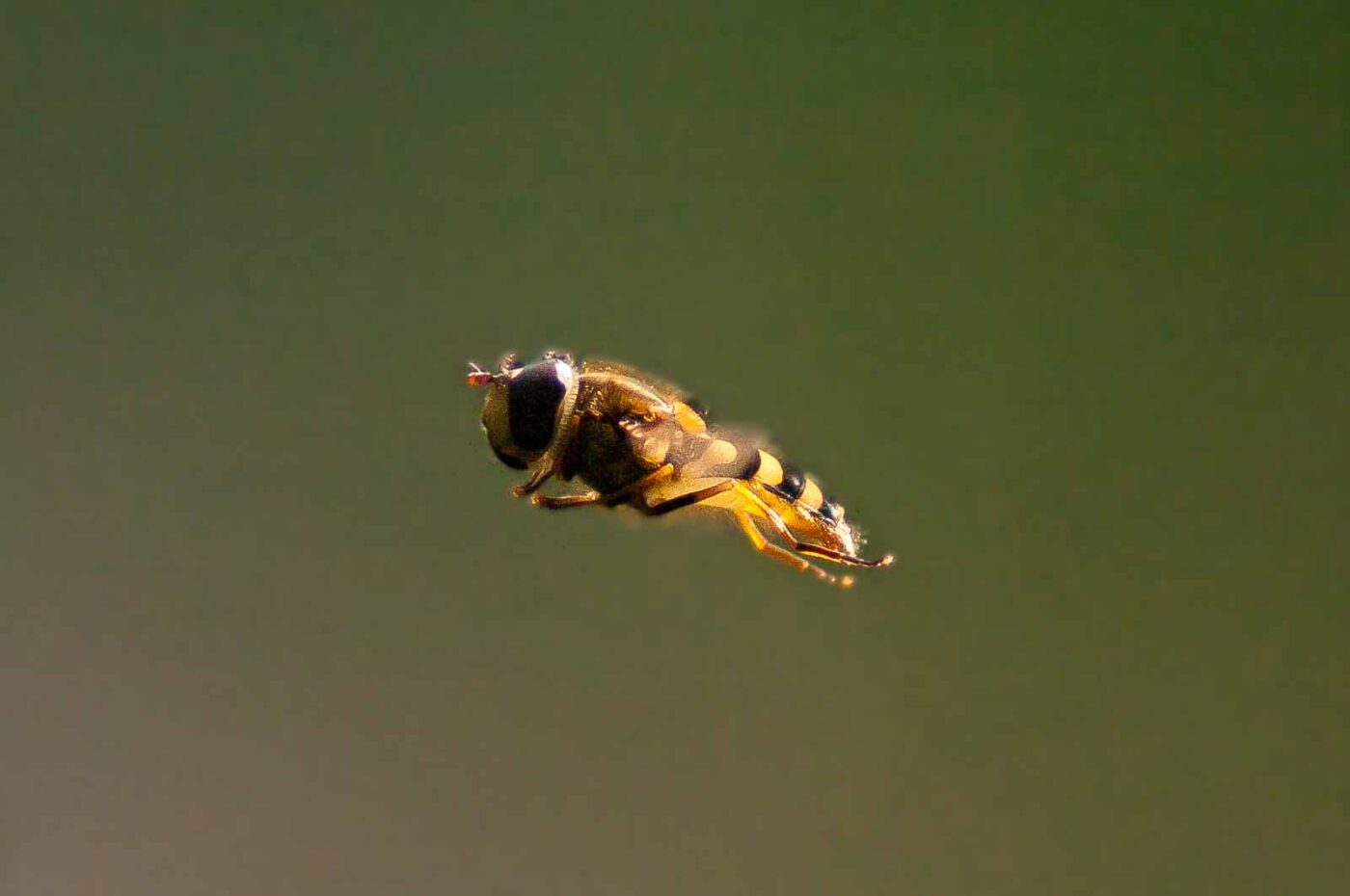 2017-04-09 - EmscherValleyWay Recklinghausen