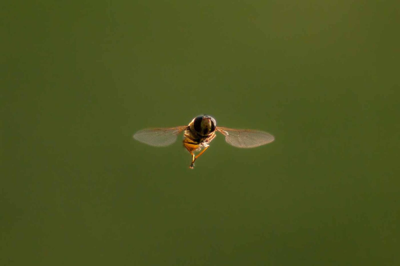 2017-04-09 - EmscherValleyWay Recklinghausen