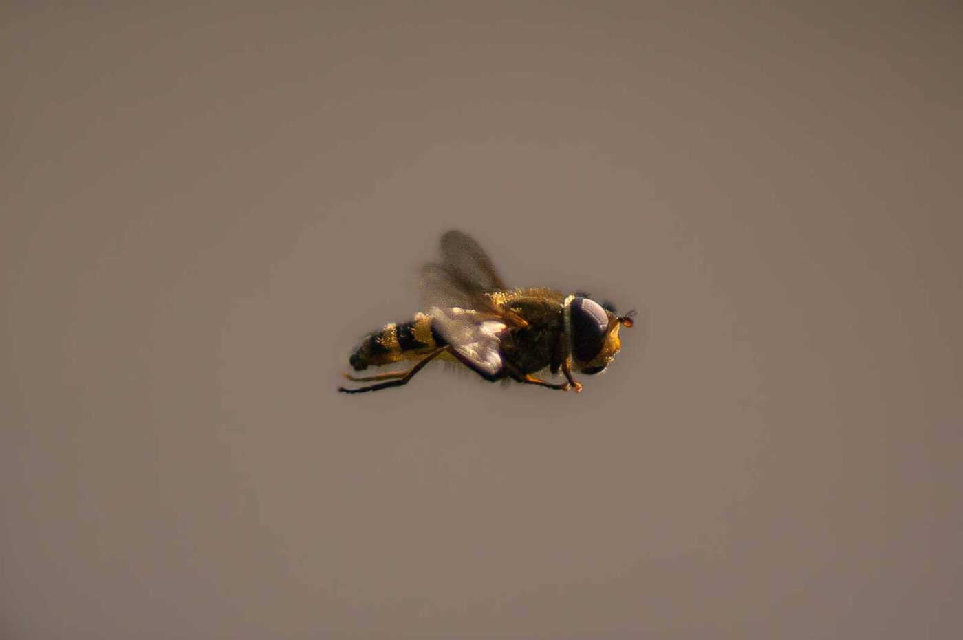 2017-04-09 - EmscherValleyWay Recklinghausen