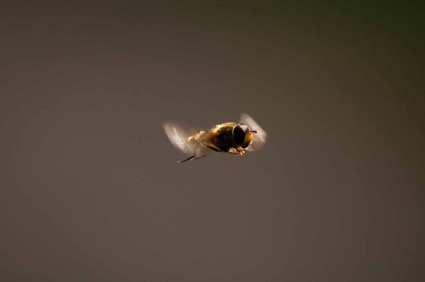 2017-04-09 - EmscherValleyWay Recklinghausen