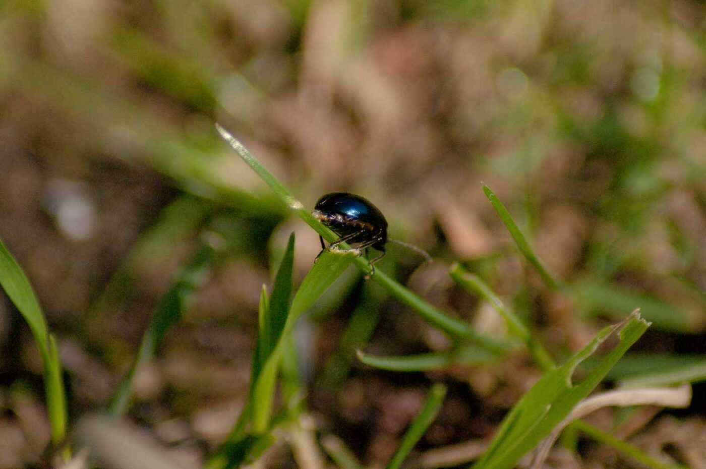 2017-04-09 - EmscherValleyWay Recklinghausen