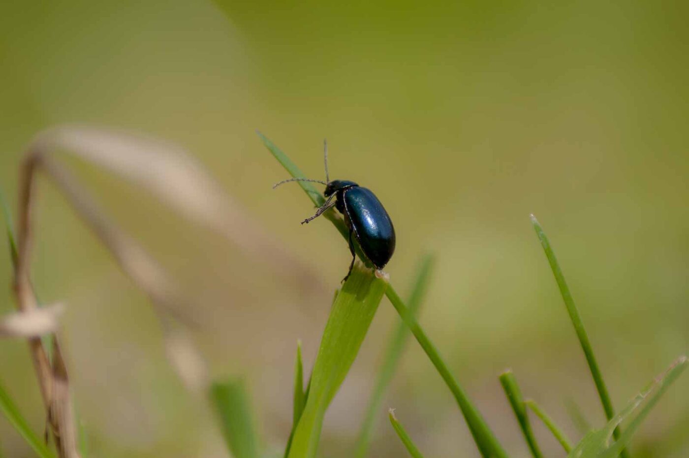 2017-04-09 - EmscherValleyWay Recklinghausen