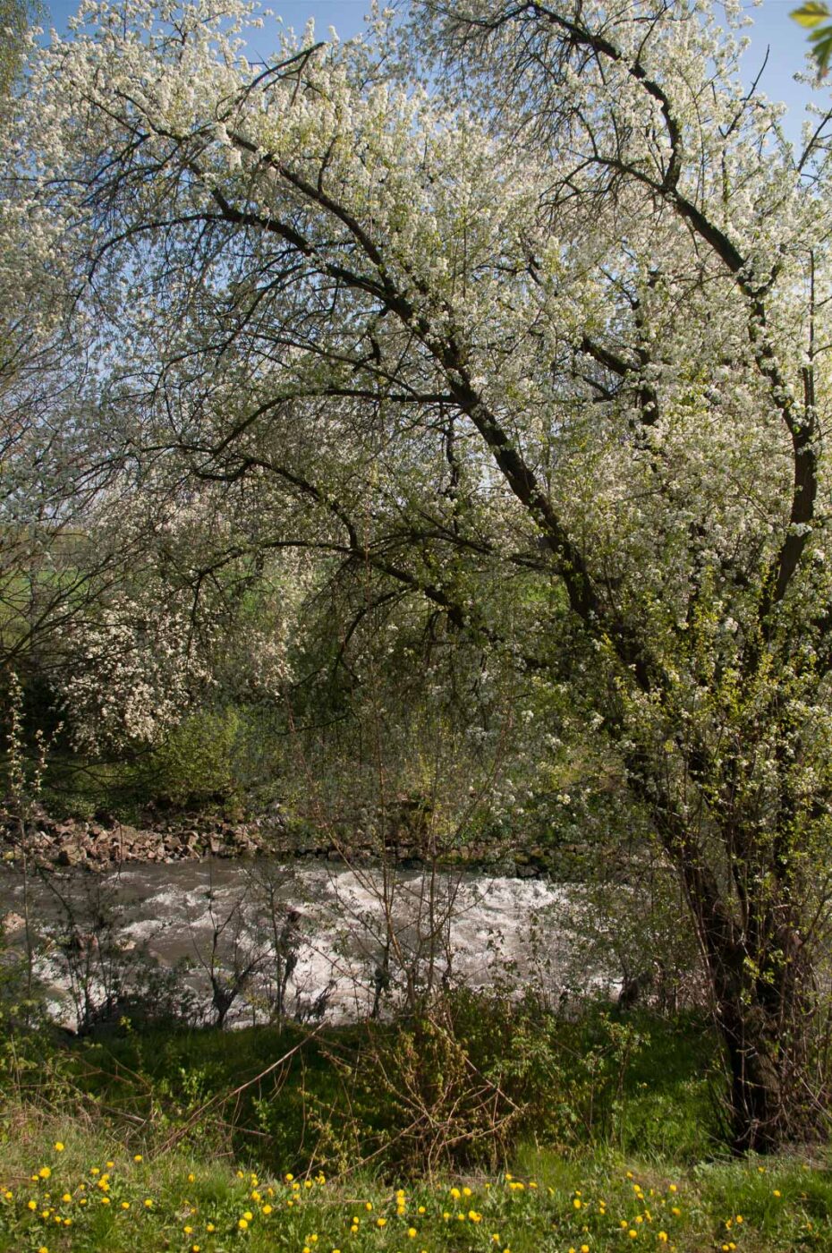 2017-04-09 - EmscherValleyWay Recklinghausen