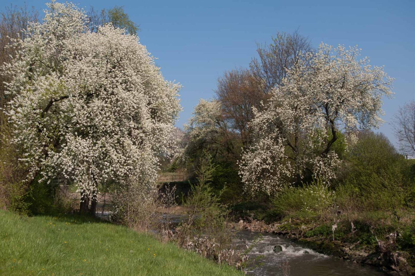 2017-04-09 - EmscherValleyWay Recklinghausen