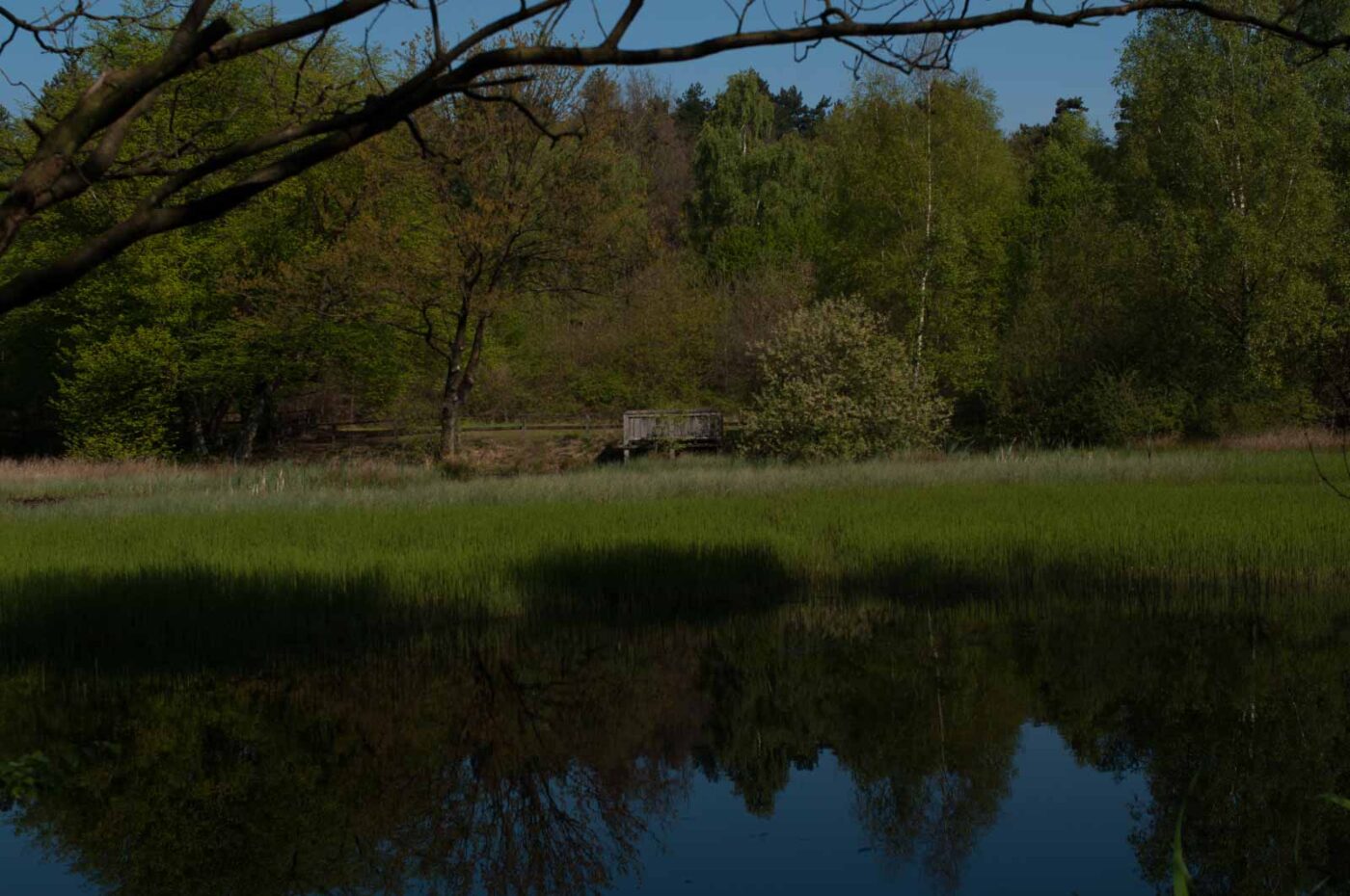 2017-05-10 - NSG Brinksknapp Recklinghausen