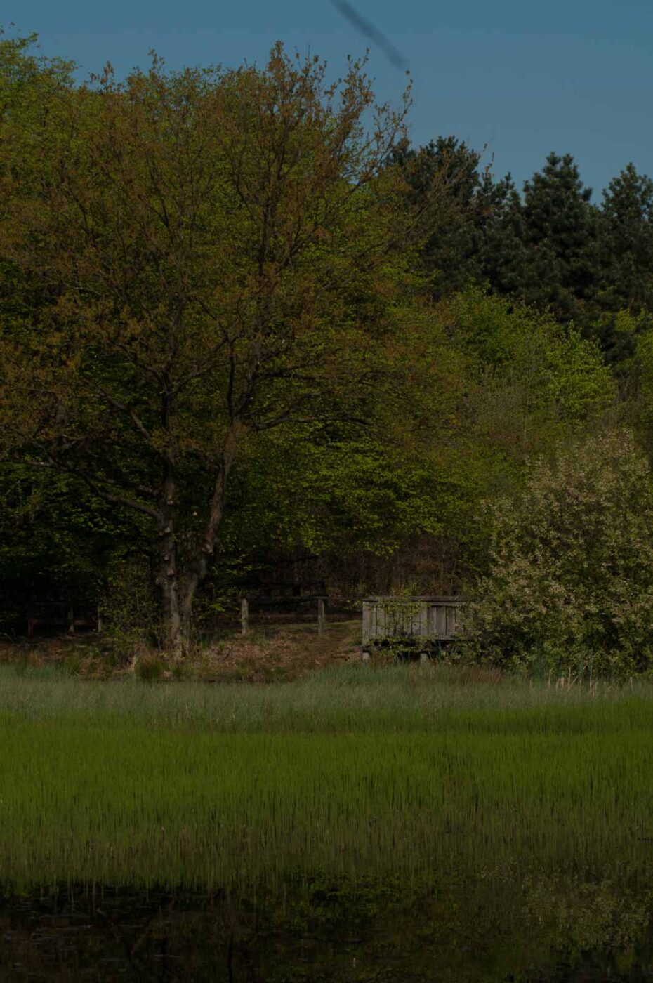 2017-05-10 - NSG Brinksknapp Recklinghausen