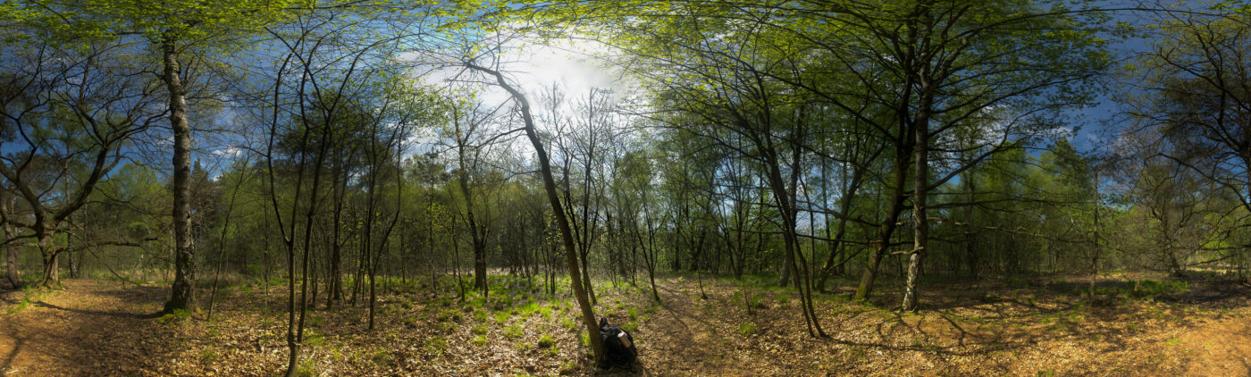 2017-05-10 - NSG Brinksknapp Recklinghausen