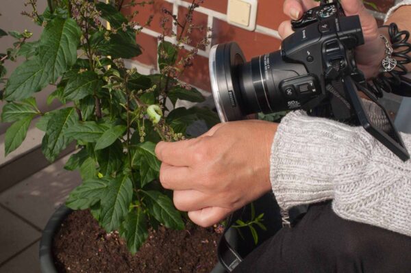 2017-05-14 - RE-sidenzia auf'm BallKong