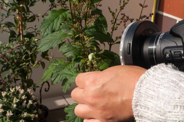 2017-05-14 - RE-sidenzia auf'm BallKong