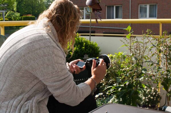 2017-05-14 - RE-sidenzia auf'm BallKong