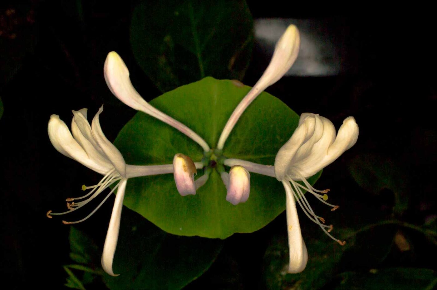 2017-05-14 - EmscherValleyWay Recklinghausen