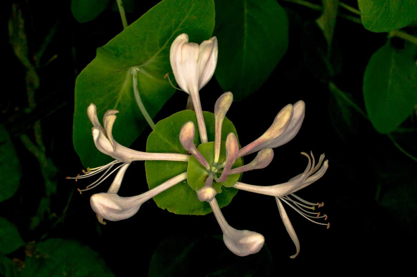 2017-05-14 - EmscherValleyWay Recklinghausen