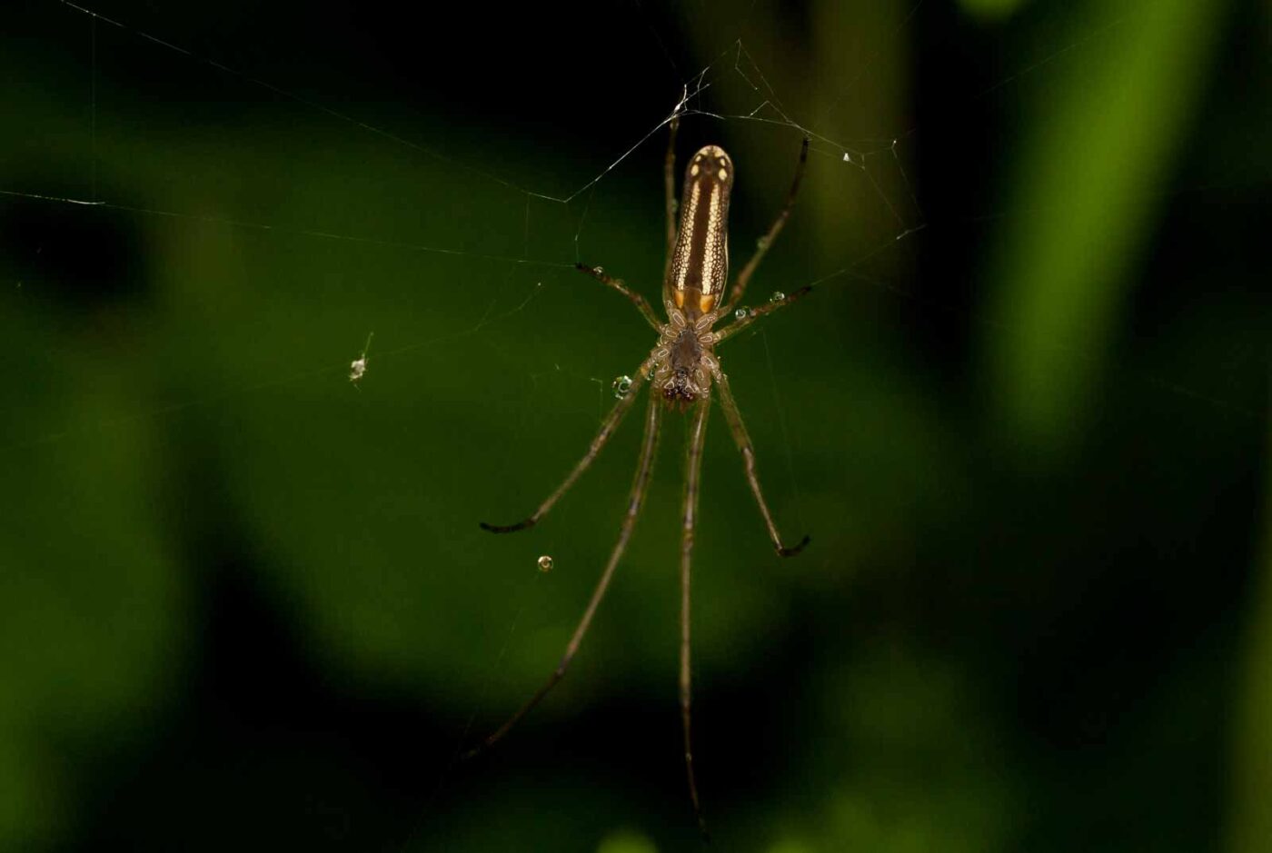 2017-05-14 - EmscherValleyWay Recklinghausen