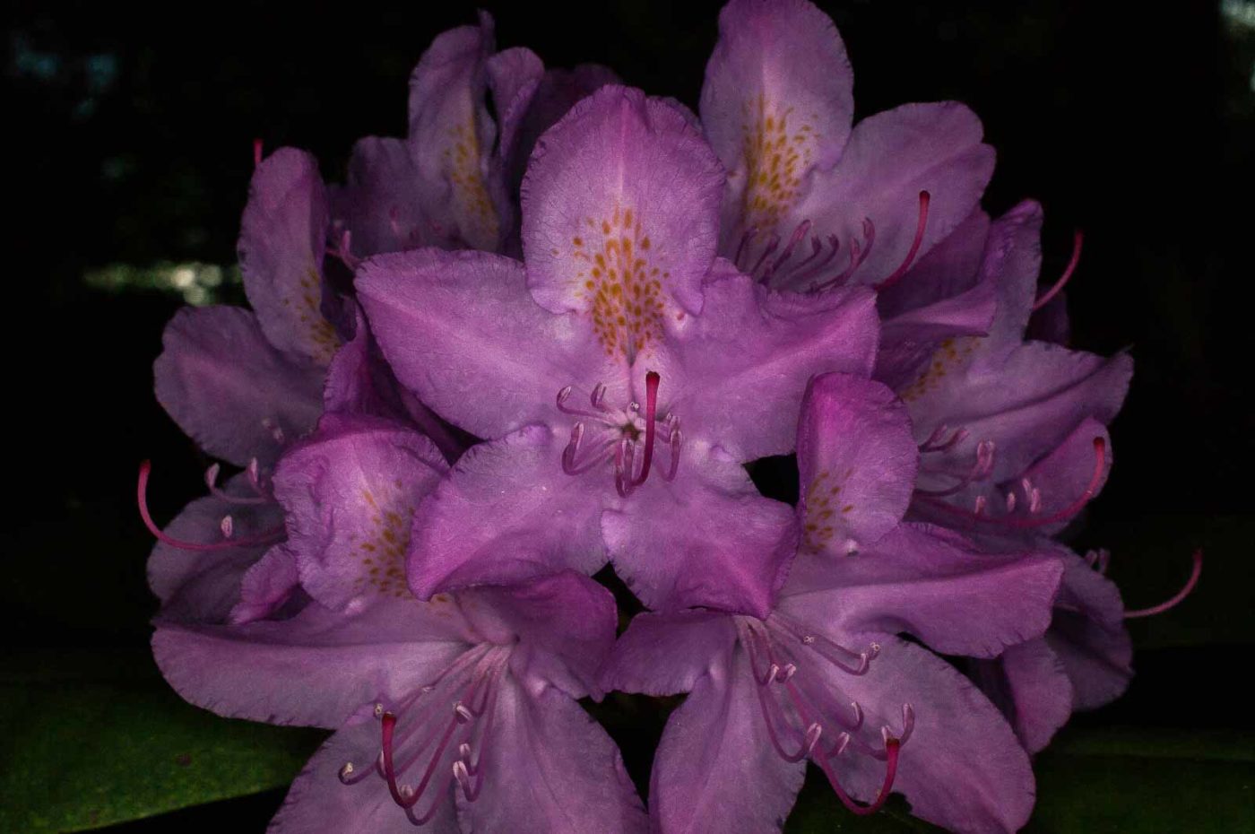 2017-05-14 - EmscherValleyWay Recklinghausen