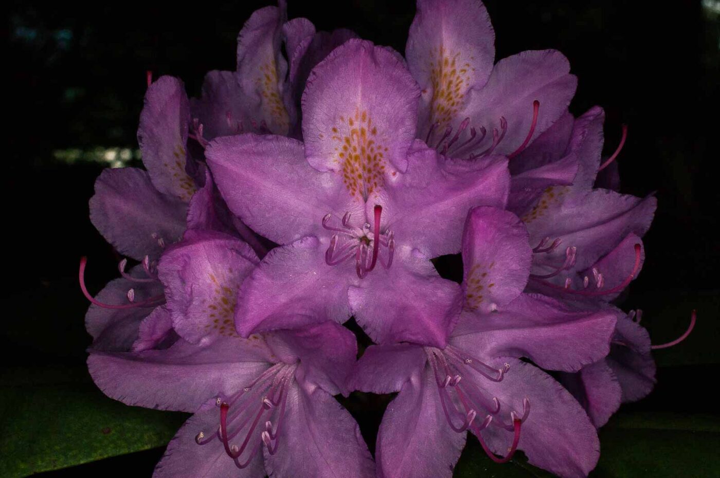 2017-05-14 - EmscherValleyWay Recklinghausen