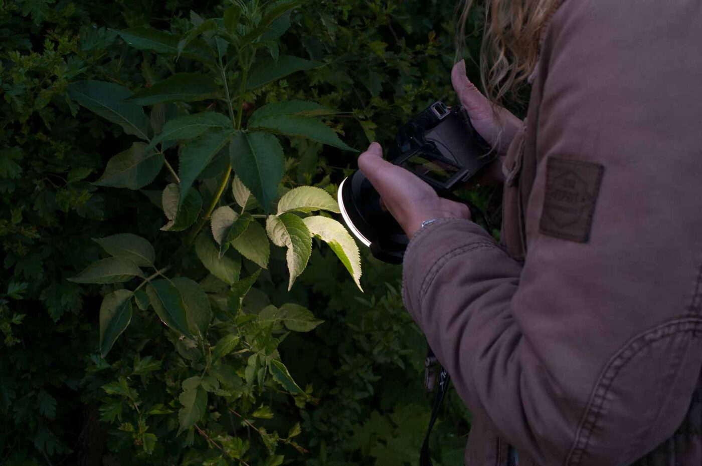 2017-05-14 - EmscherValleyWay Recklinghausen