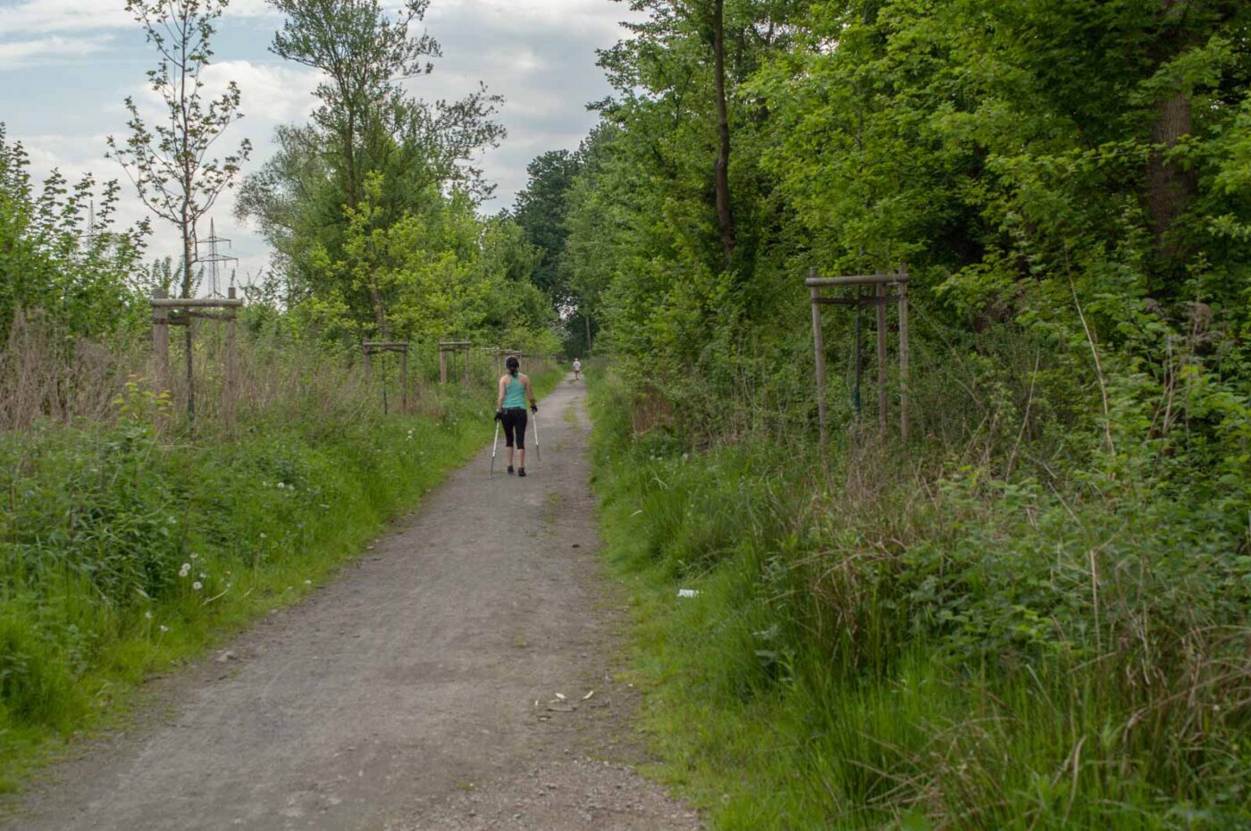 2017-05-16 - NSG Brandheide Recklinghausen