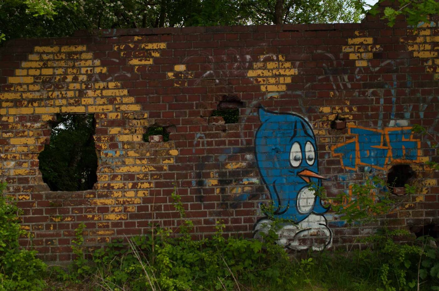 2017-05-16 - NSG Brandheide Recklinghausen