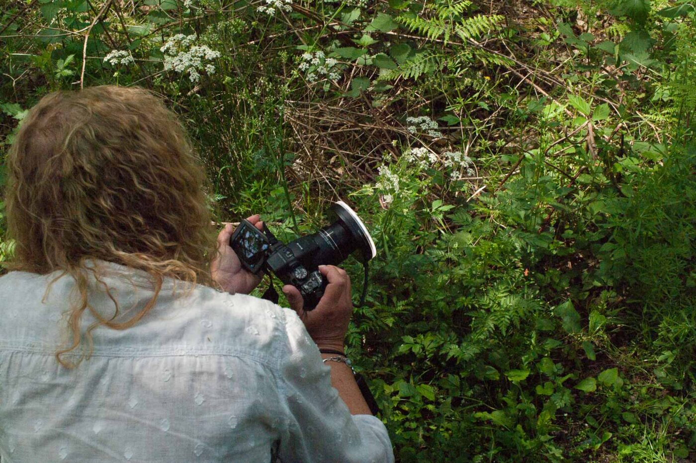 2017-05-21 - NSG Binksknapp Recklinghausen