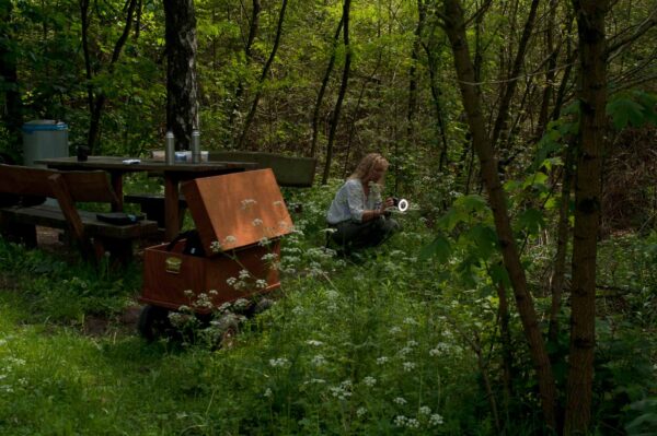 2017-05-21 - NSG Binksknapp Recklinghausen