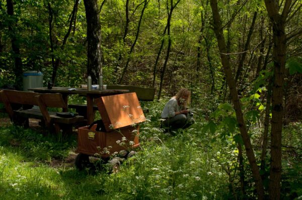 2017-05-21 - NSG Binksknapp Recklinghausen