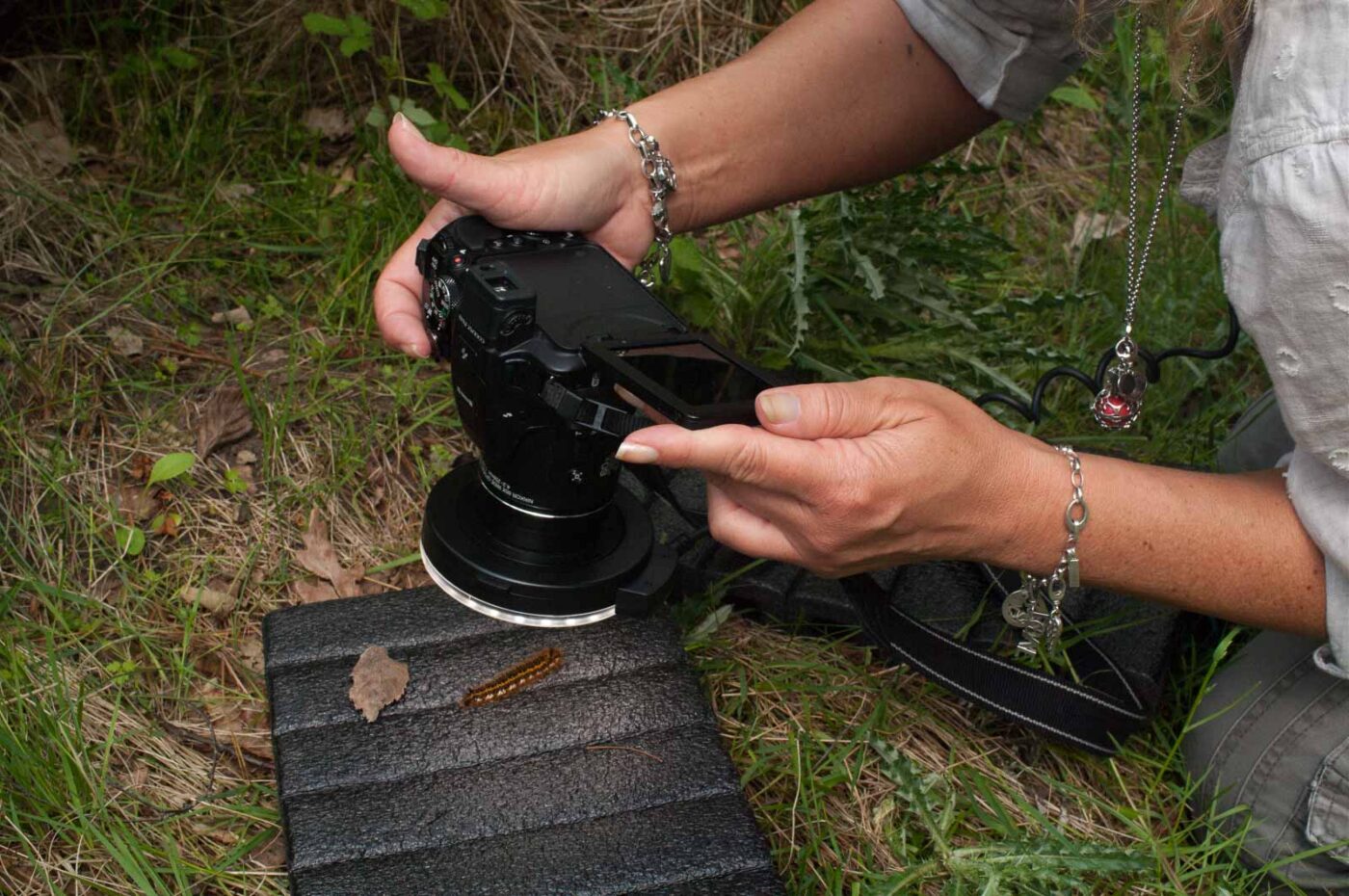 2017-05-21 - NSG Binksknapp Recklinghausen