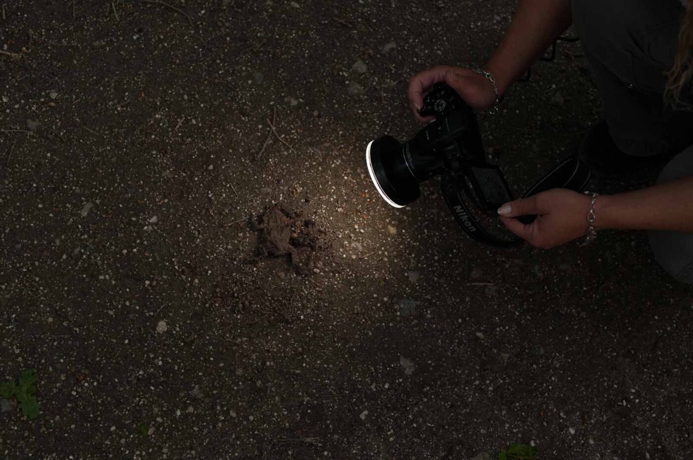 2017-05-21 - NSG Binksknapp Recklinghausen