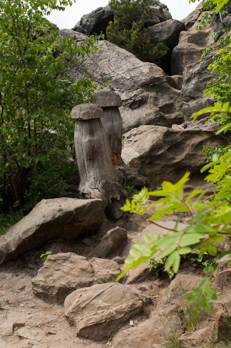 2017-05-23 - Blankenburg im Harz