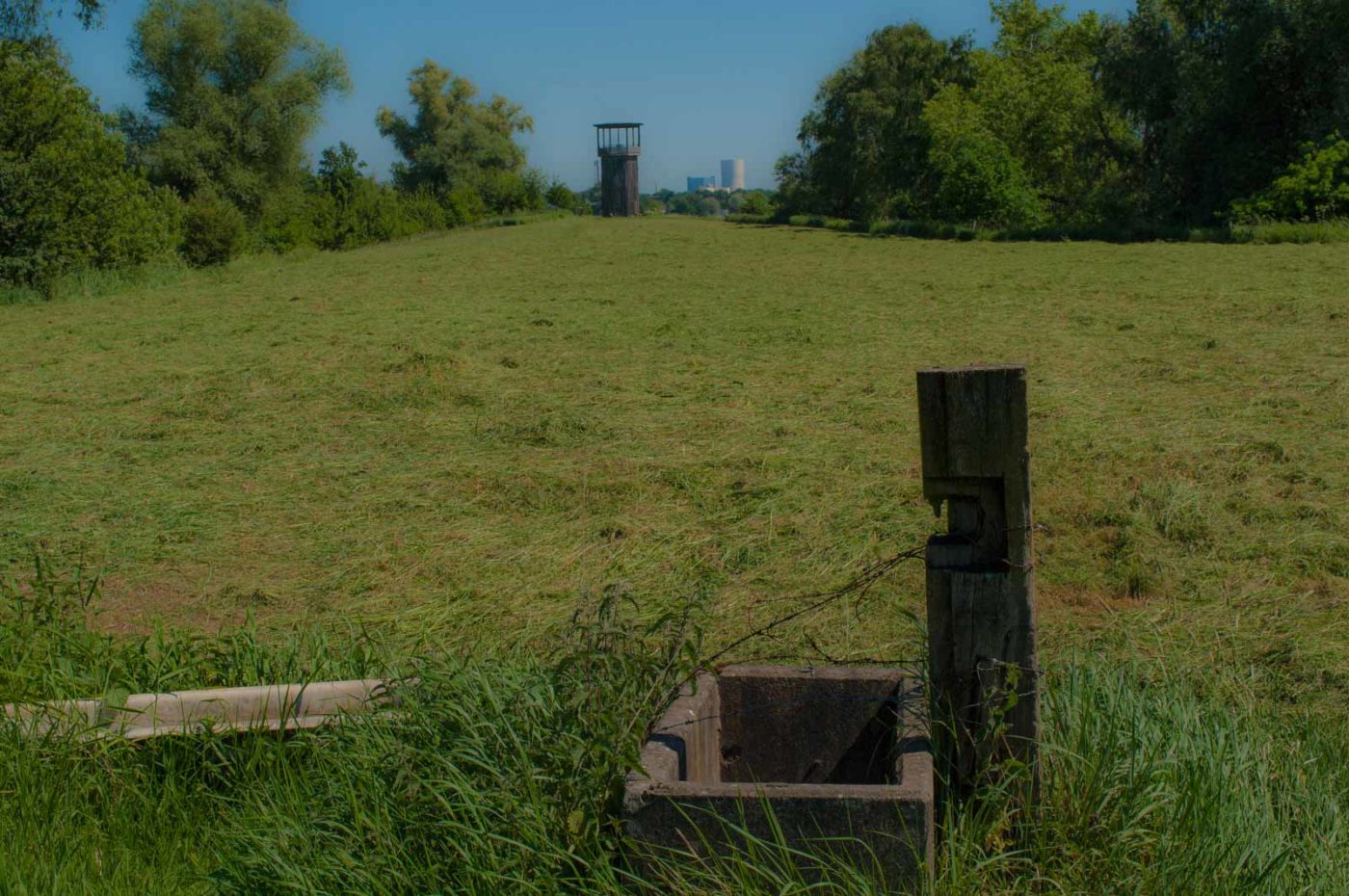 2017-05-27 - NSG Brandheide Recklinghausen