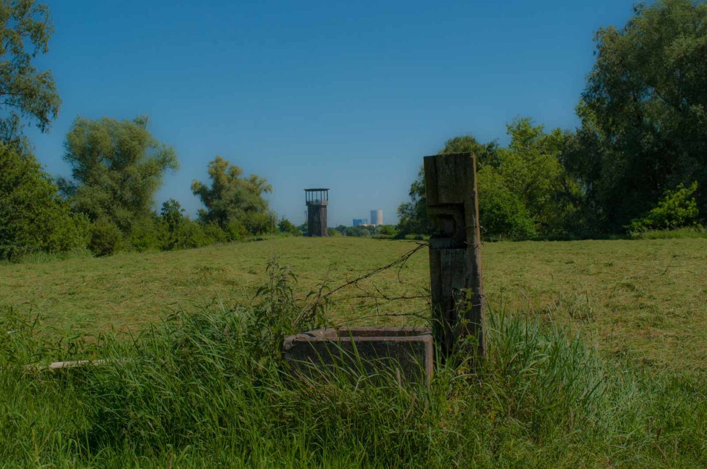 2017-05-27 - NSG Brandheide Recklinghausen