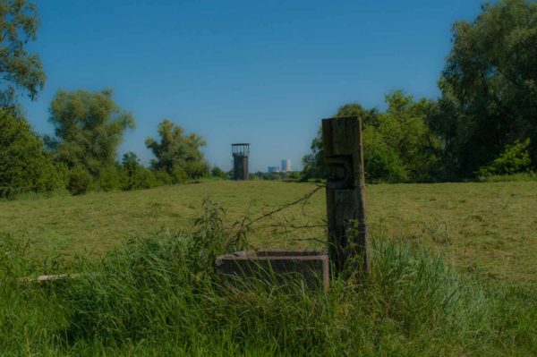 2017-05-27 - NSG Brandheide Recklinghausen