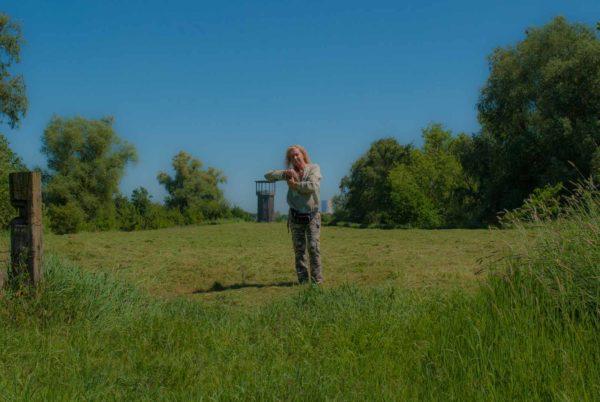 2017-05-27 - NSG Brandheide Recklinghausen