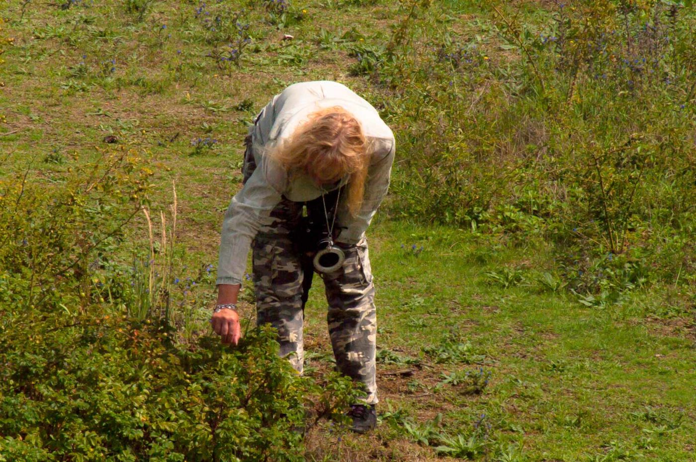 2017-07-26 - NSG Halde Pluto-Wilhelm HER-Wanne