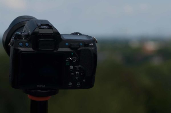 2017-07-26 - NSG Halde Pluto-Wilhelm HER-Wanne