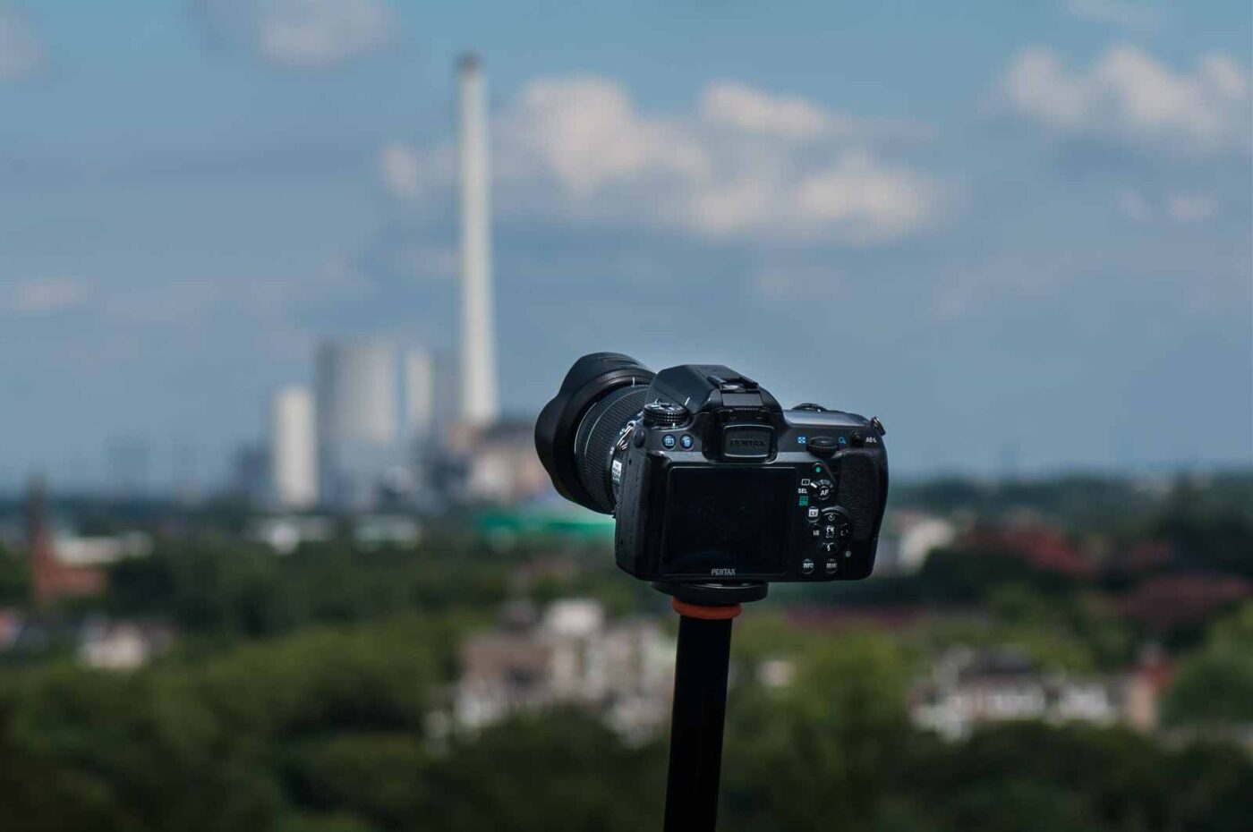 2017-07-26 - NSG Halde Pluto-Wilhelm HER-Wanne