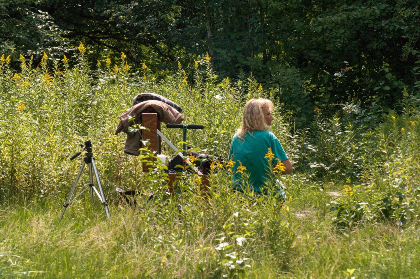 2017-08-21 - NSG Resser Wald und Emscherbruch