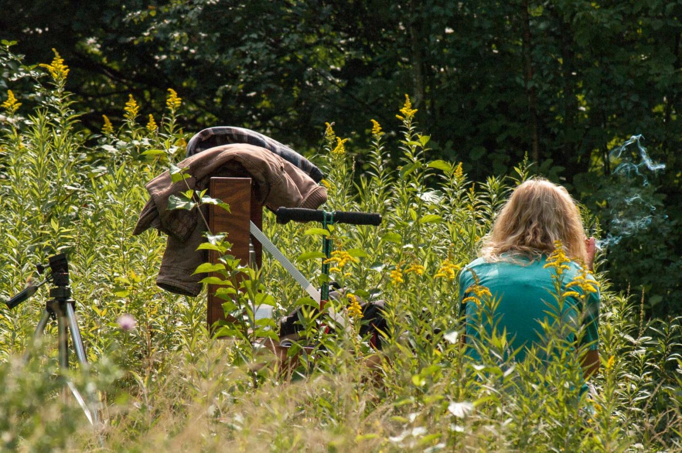 2017-08-21 - NSG Resser Wald und Emscherbruch