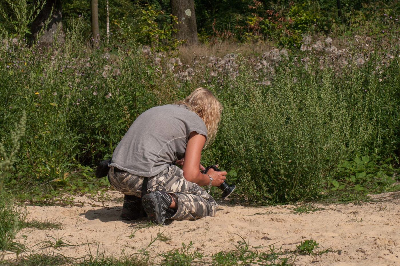 2017-08-23 - NSG Resser Wald und Emscherbruch